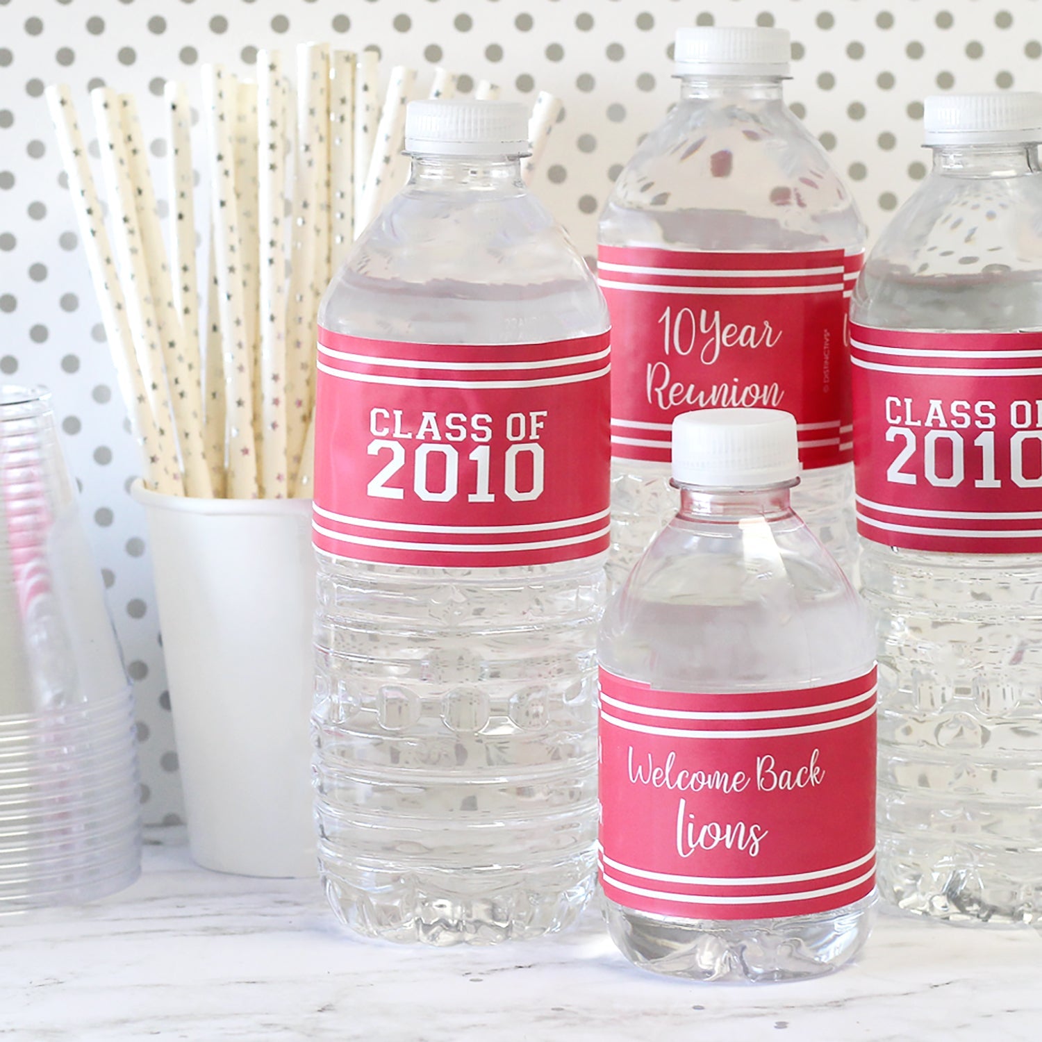 Pink Personalized Class Reunion Water Bottle Label Stickers